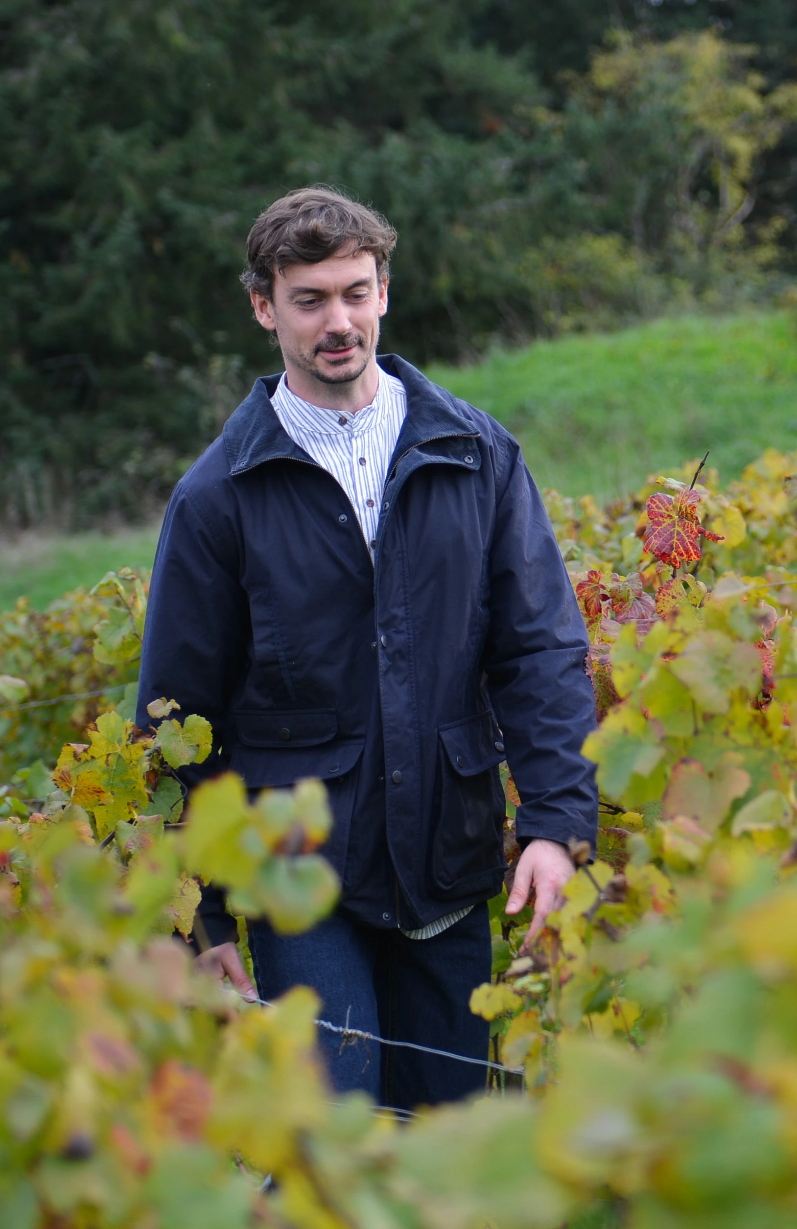 Veste huilée pour homme bleue Archie ext