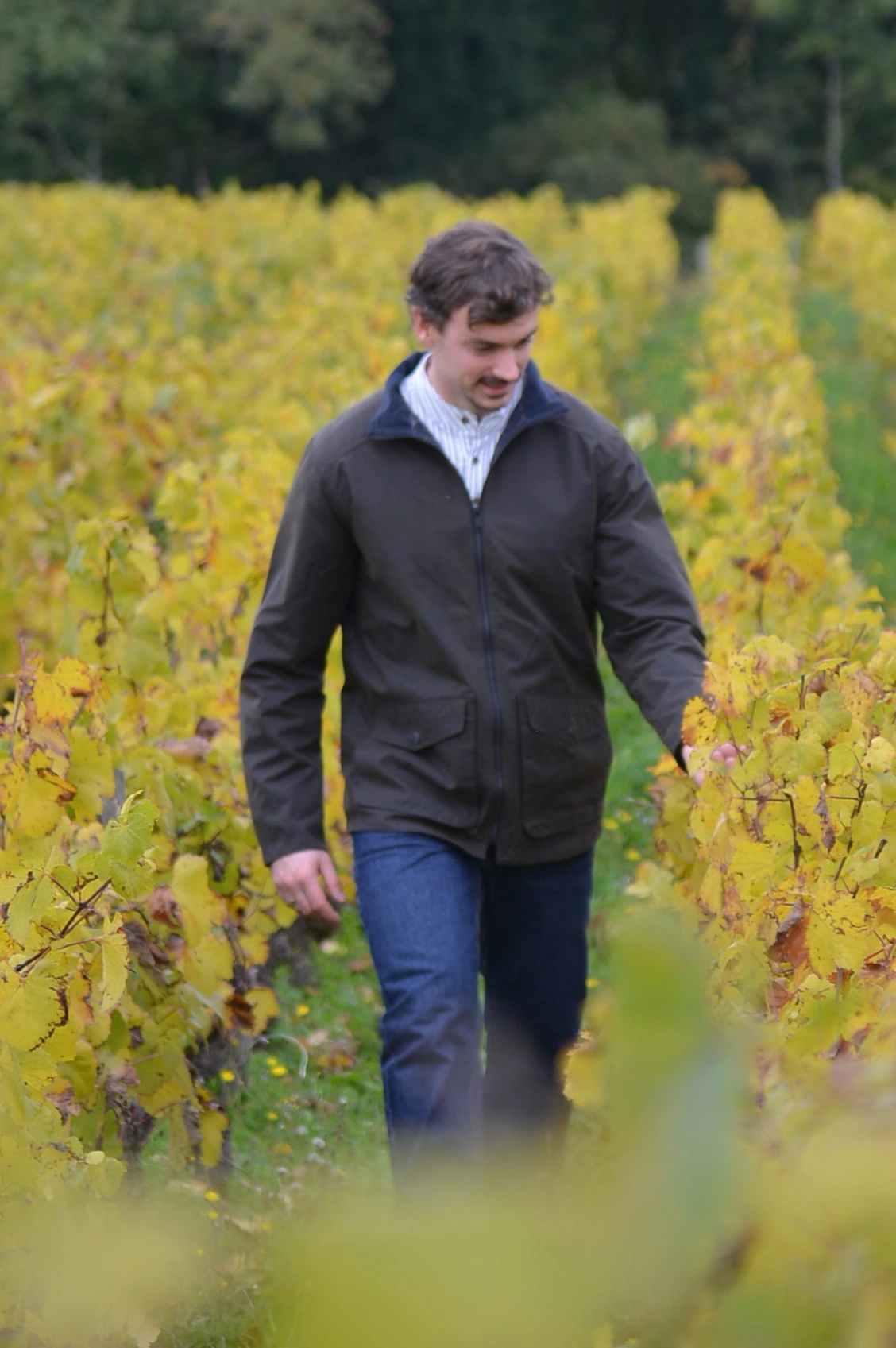 Veste huilée pour homme verte front ext